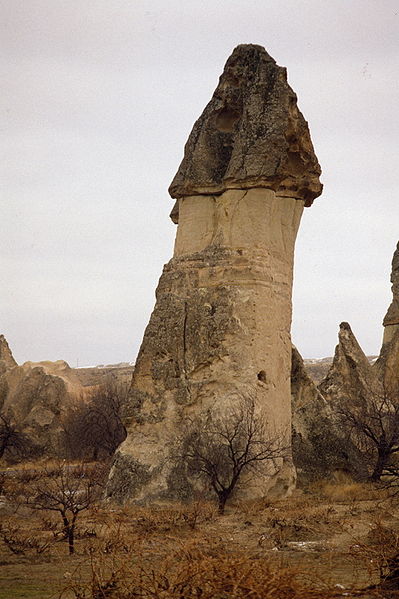 Une cheminée coiffée